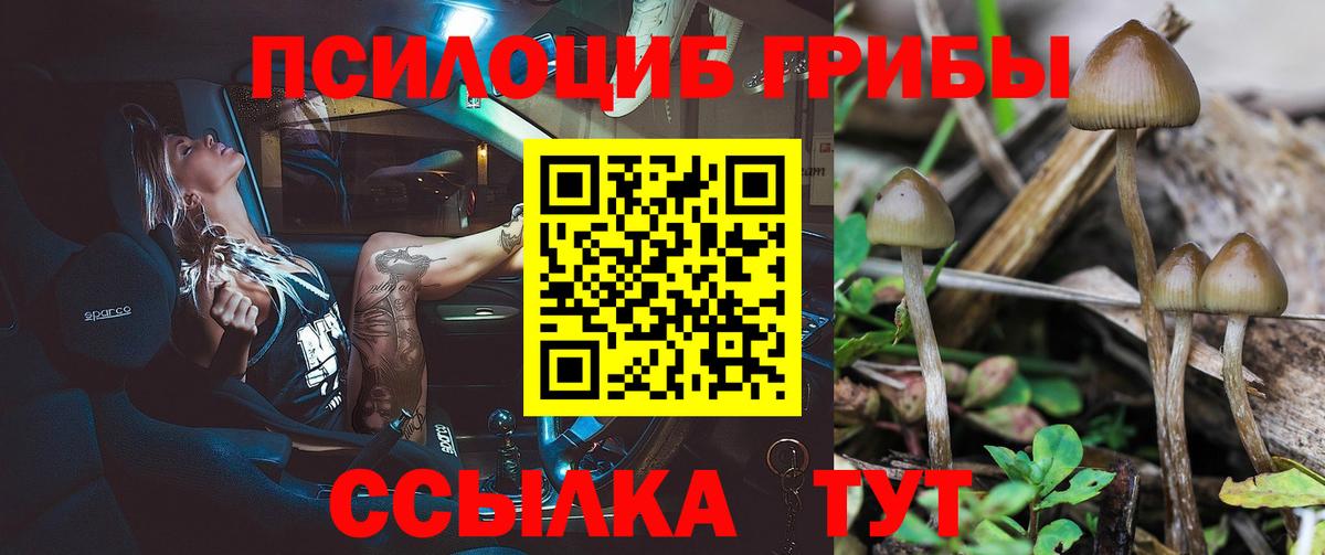Псилоцибиновые грибы прущие грибы Кимры