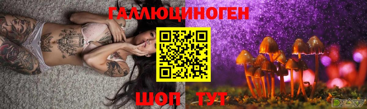 Кимры  Псилоцибиновые грибы Cubensis  Вход с VPN 